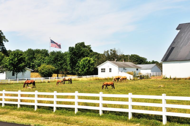 Equine Fence Installation in South Houston, TX