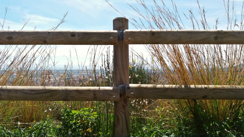 Wood Fence Installation in Roseville, CA